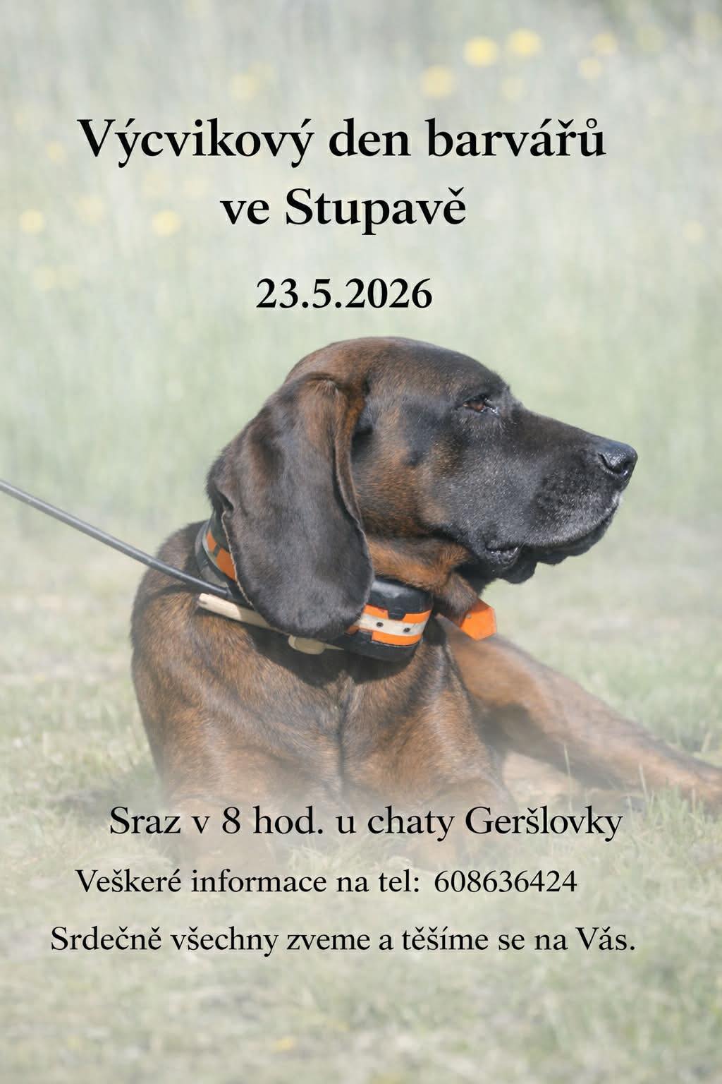 Výcvikový den oblast č. 6 Stupava