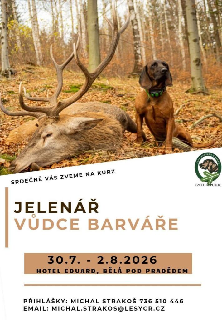 Jelenář vůdce barváře 2026
